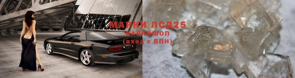 стаф Алзамай