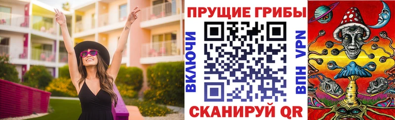 закладка Дегтярск Галлюциногенные грибы мицелий